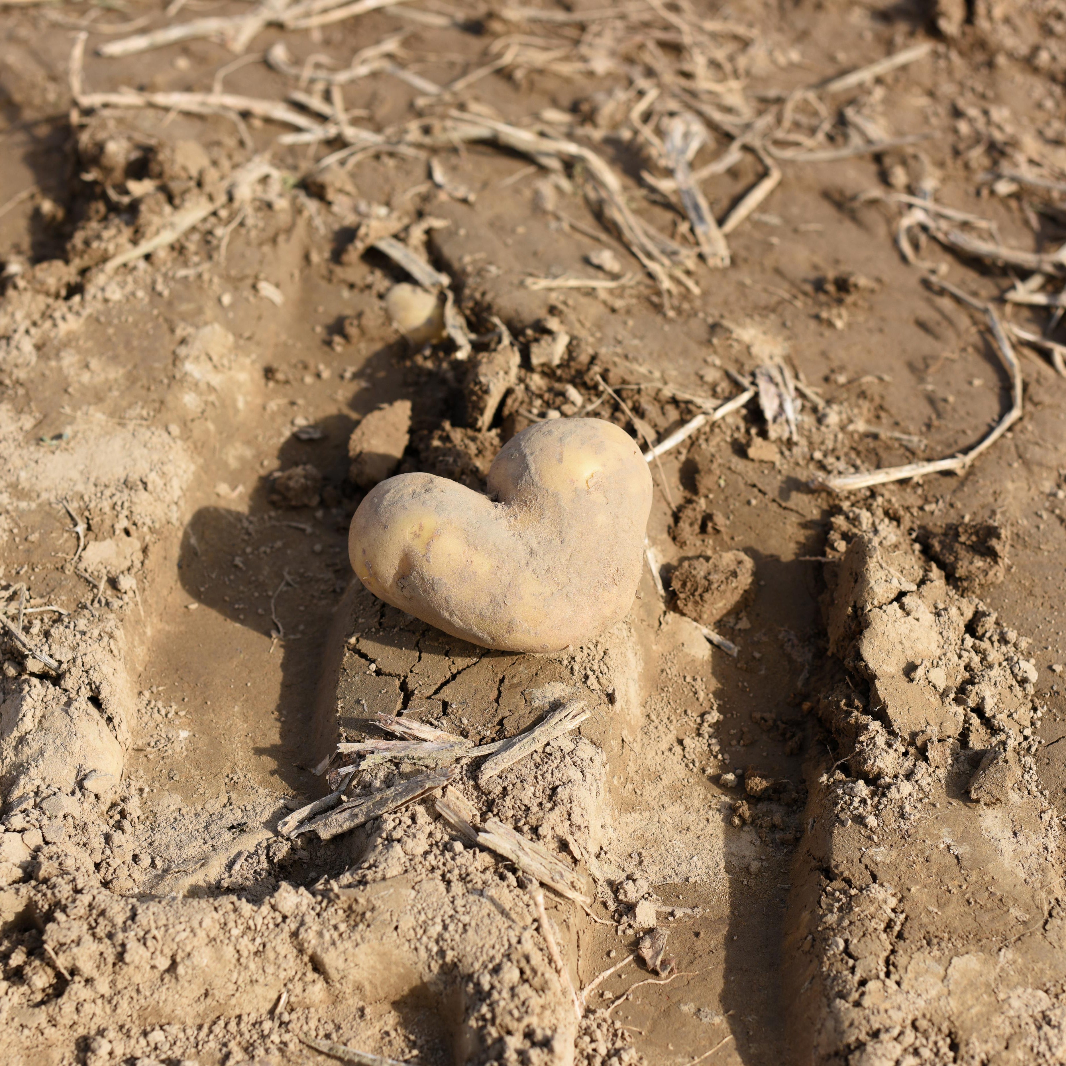 2017-09-Oberschuirshof-30 - Kopie