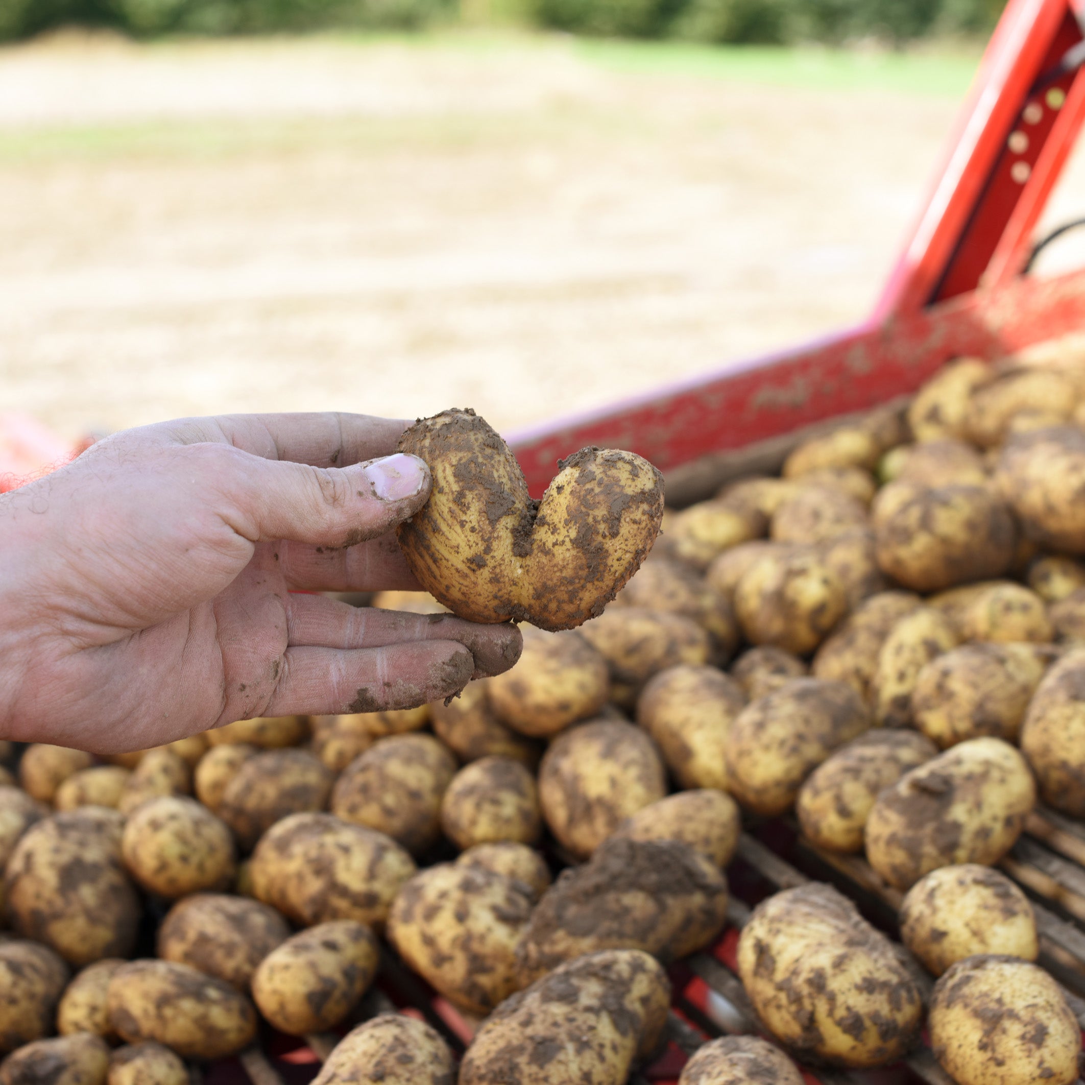 2017-09-Oberschuirshof-Gutschein_2