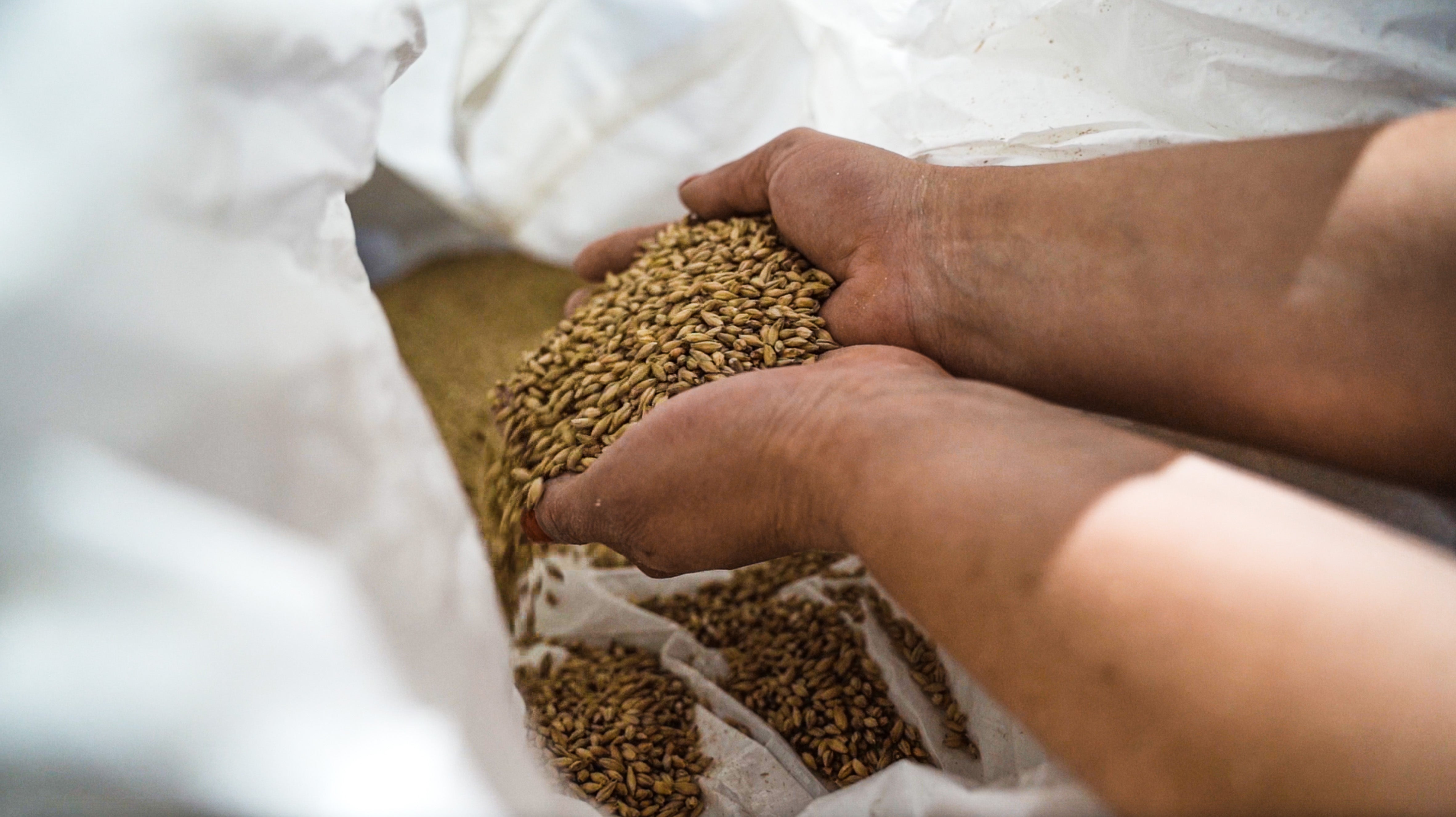 Habbel_MO-01 (1)_(1)