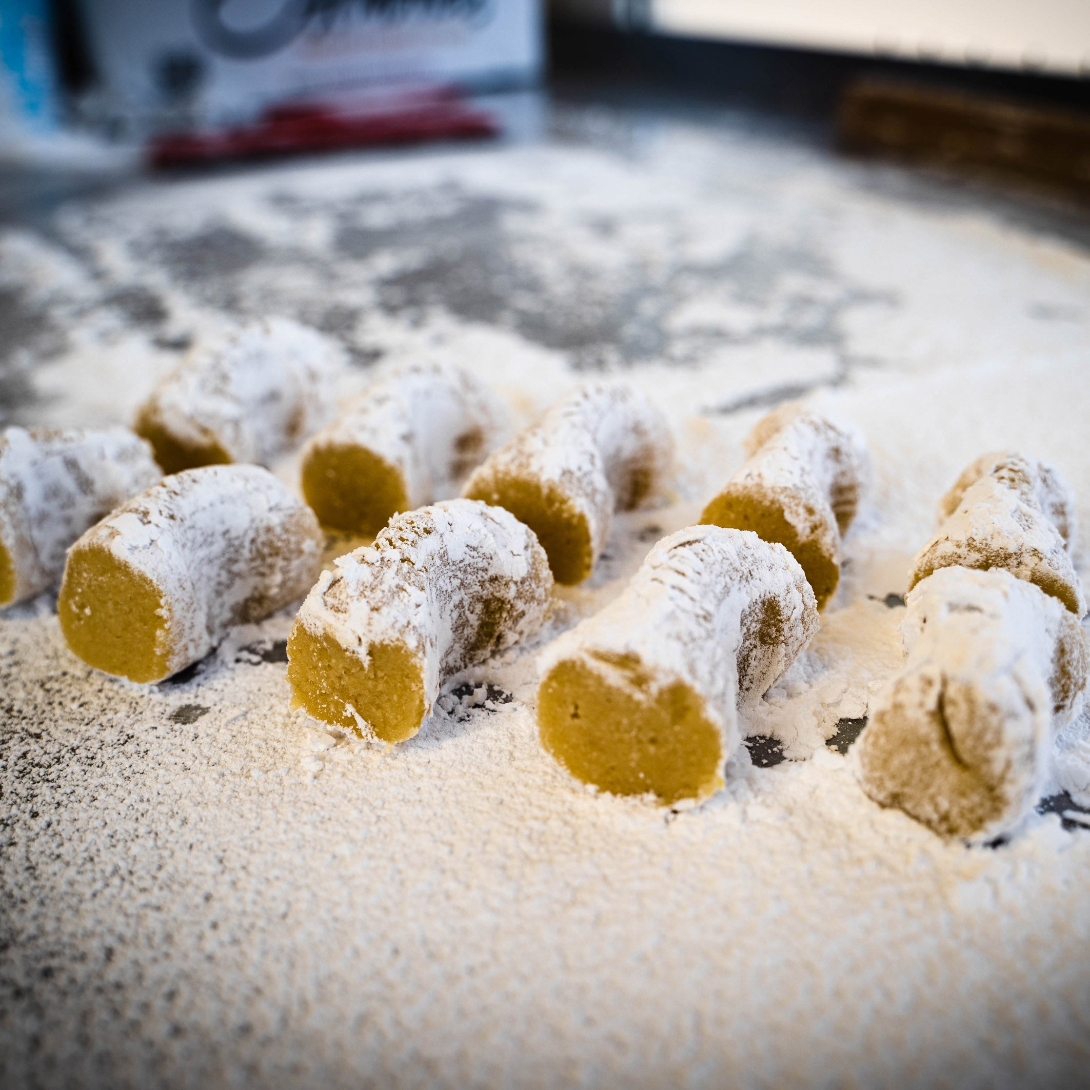 Schmuckbild_Welpino_1