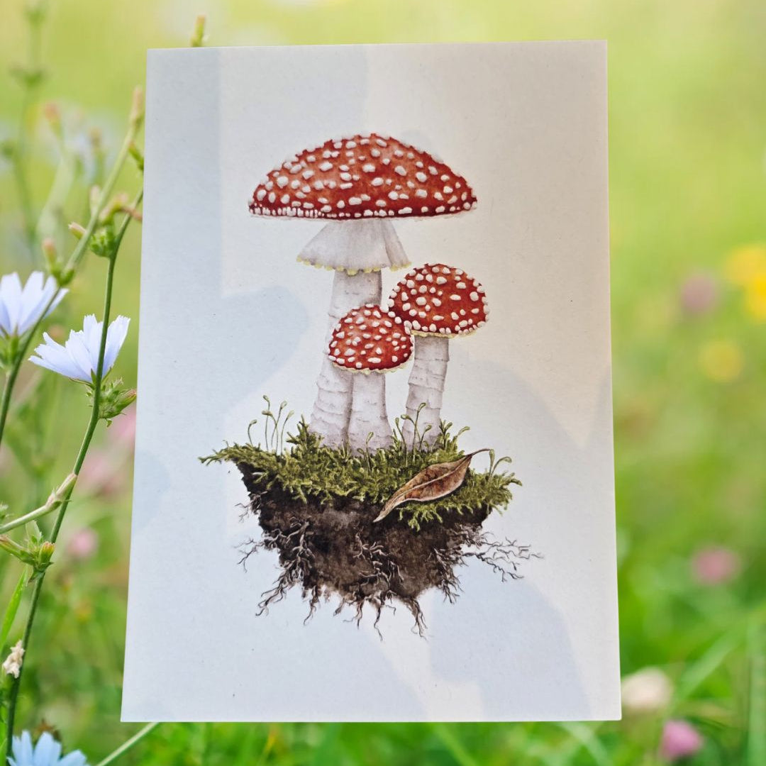 Postkarte von Junibee mit einem Fliegenpilz